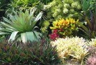 Lilydale TASplanting-garden-and-landscape-design-24.jpg; ?>