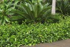 Lilydale TASplanting-garden-and-landscape-design-45.jpg; ?>