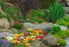 Lilydale TASplanting-garden-and-landscape-design-69.jpg; ?>